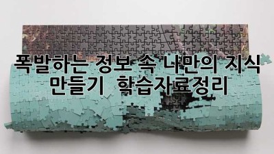 폭발하는 정보 속 나만의 지식 만들기 📚✨ #학습자료정리