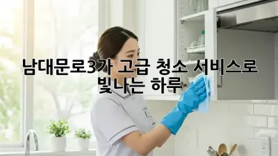 남대문로3가 ✨고급 청소 서비스✨로 빛나는 하루!