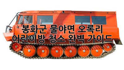 봉화군 물야면 오록리 어린이방 청소 완벽 가이드