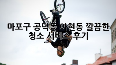 마포구 공덕동, 아현동 깔끔한 청소 서비스 후기